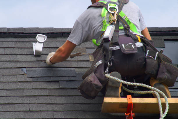 Best Fascia and Soffit Installation  in Monroeville, AL