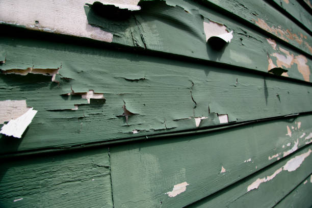 Best Engineered Wood Siding  in Monroeville, AL