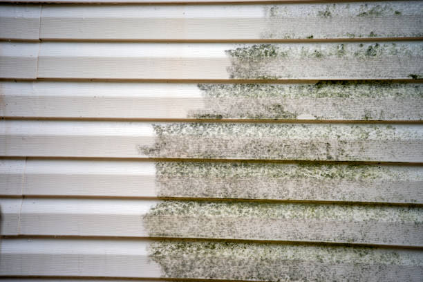 Best Custom Trim and Detailing for Siding  in Monroeville, AL