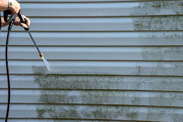 Best Stone Veneer Siding  in Monroeville, AL