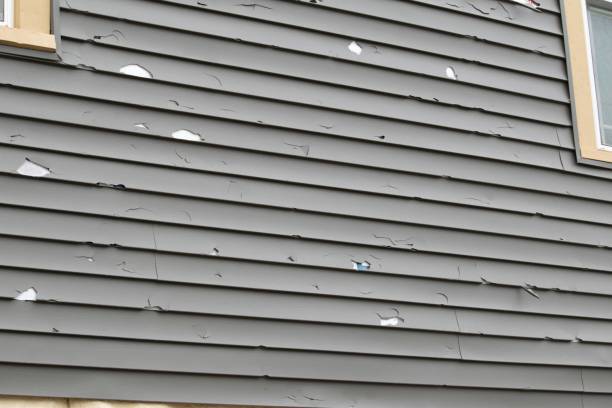 Best Brick Veneer Siding  in Monroeville, AL