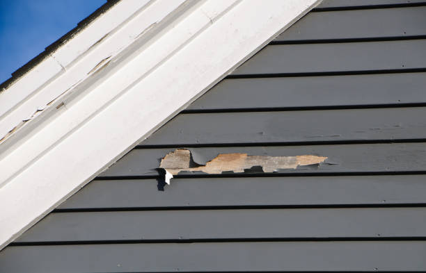 Best James Hardie Siding  in Monroeville, AL
